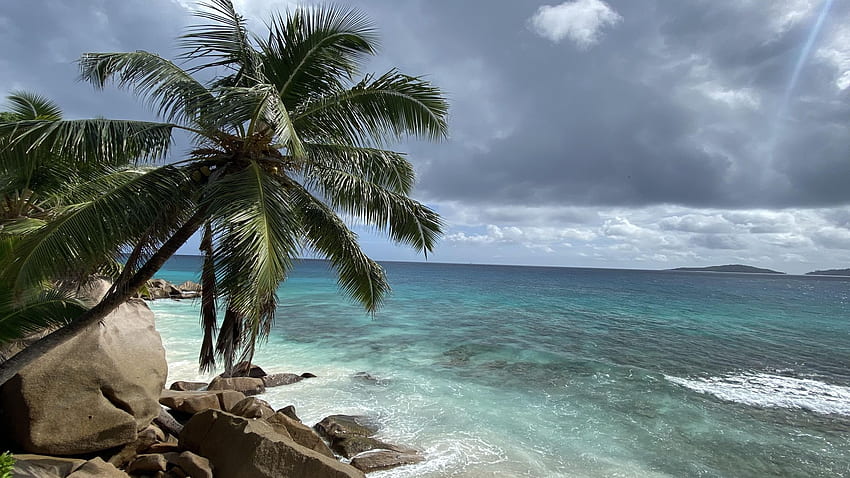 Badai tropis masuk, La Digue - Seychelles, batu, pantai, laut, pohon palem, awan, langit, batu Wallpaper HD