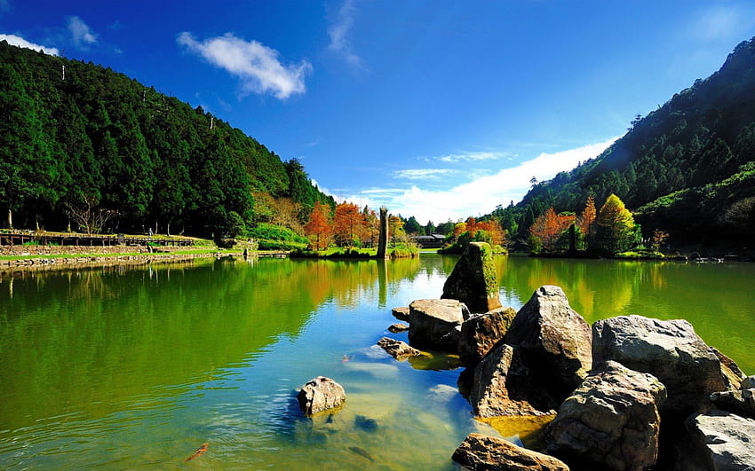 ทะเลสาบ ธรรมชาติ ป่าไม้ สีเขียว วอลล์เปเปอร์ HD