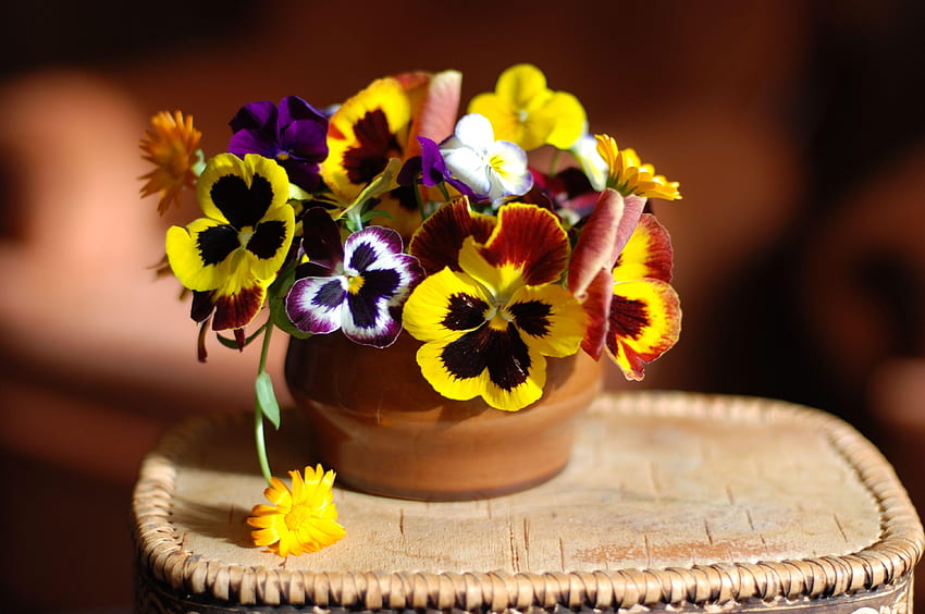 Blumen, Stiefmütterchen, Vase, Ständer HD-Hintergrundbild