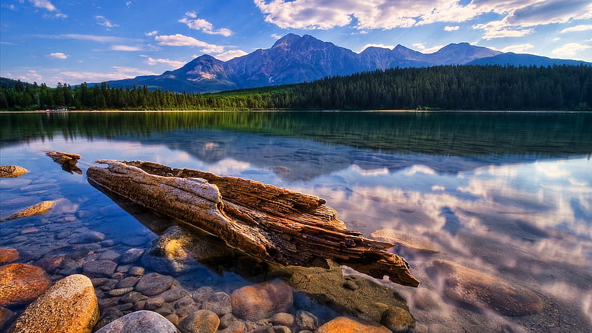 Relajante Lago Tranquilo Agua Transparente Madera Seca Piedra Pino Bosque, Montañas, Cielo, Calma Relajante fondo de pantalla