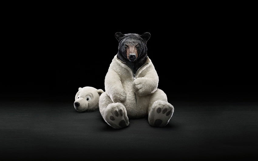 costume, Bears, Polar, Bears, Black, Bear / and Mobile Background, Awesome Polar Bear HD wallpaper
