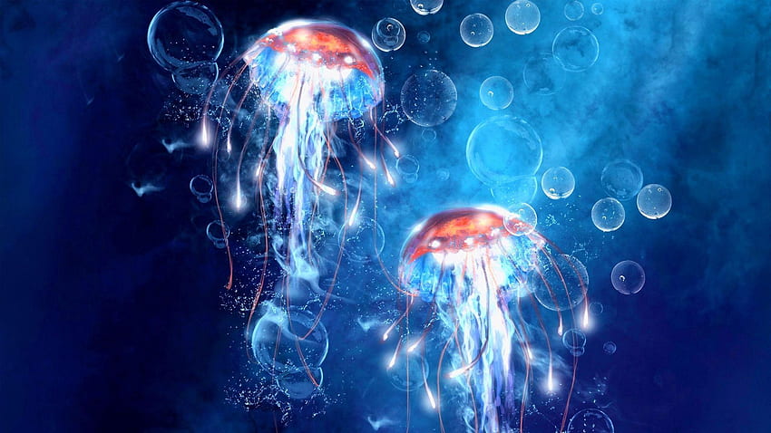 Medusas [] para tu, Móvil y Tablet. Explore el de las medusas. Medusas vivas, medusas, estética de medusas fondo de pantalla