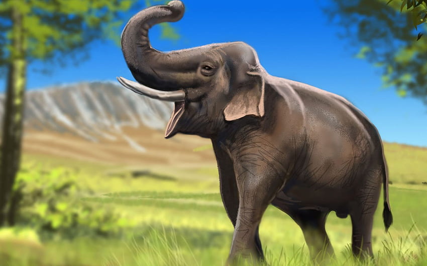 Elefante Indiano, obras de arte, vida selvagem, Elephas papel de parede HD