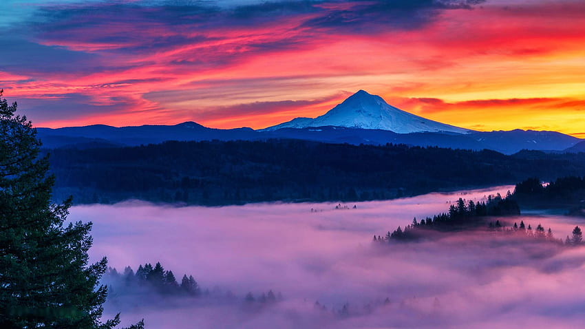 Mt. Hood Oregon'da gün doğumu, dağ, sis, renkler, bulutlar, manzara, gökyüzü, orman, ABD HD duvar kağıdı