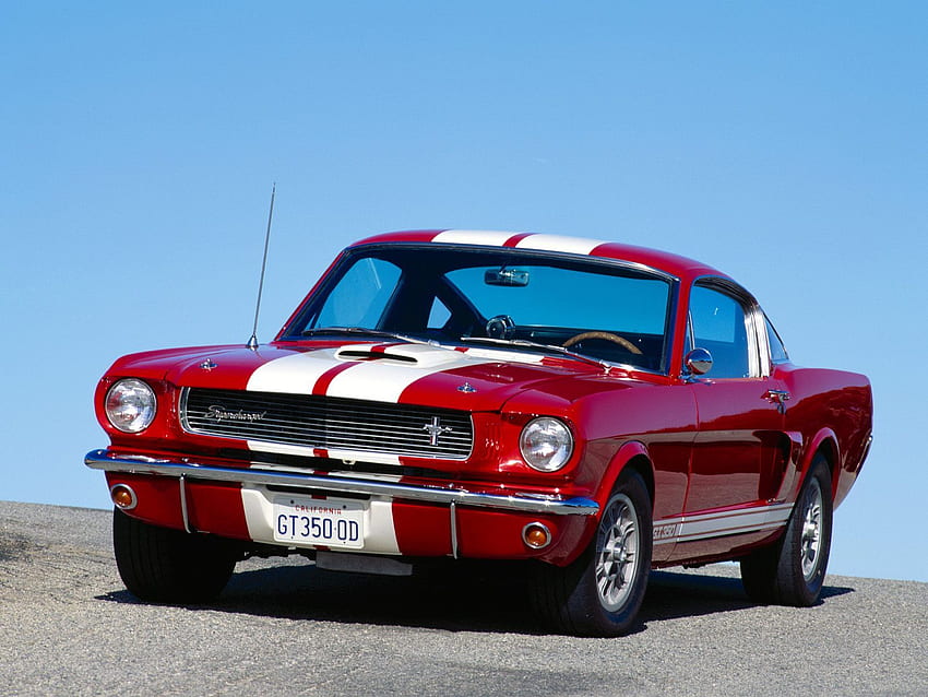 Oldtimers 1966 Ford Mustang Shelby GT 350, 1965 Mustang HD wallpaper