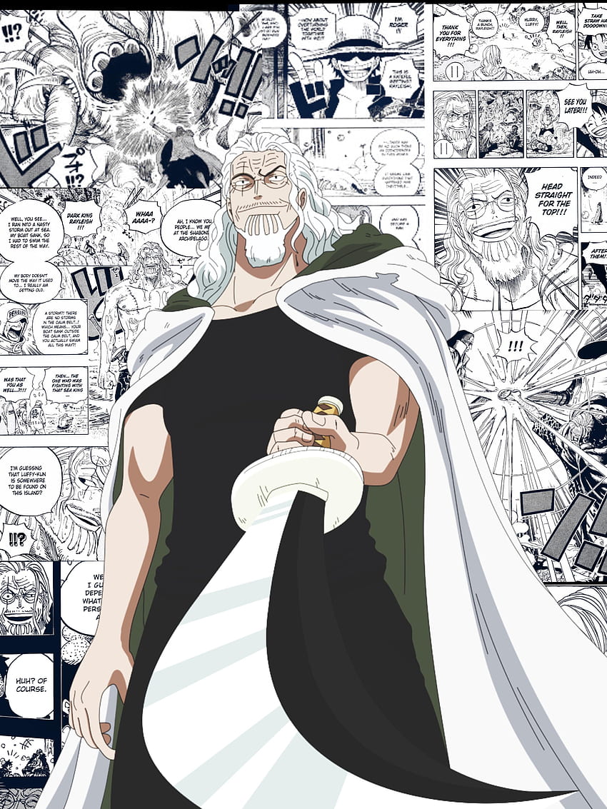 One Piece Rayleigh wallpaper ponsel HD