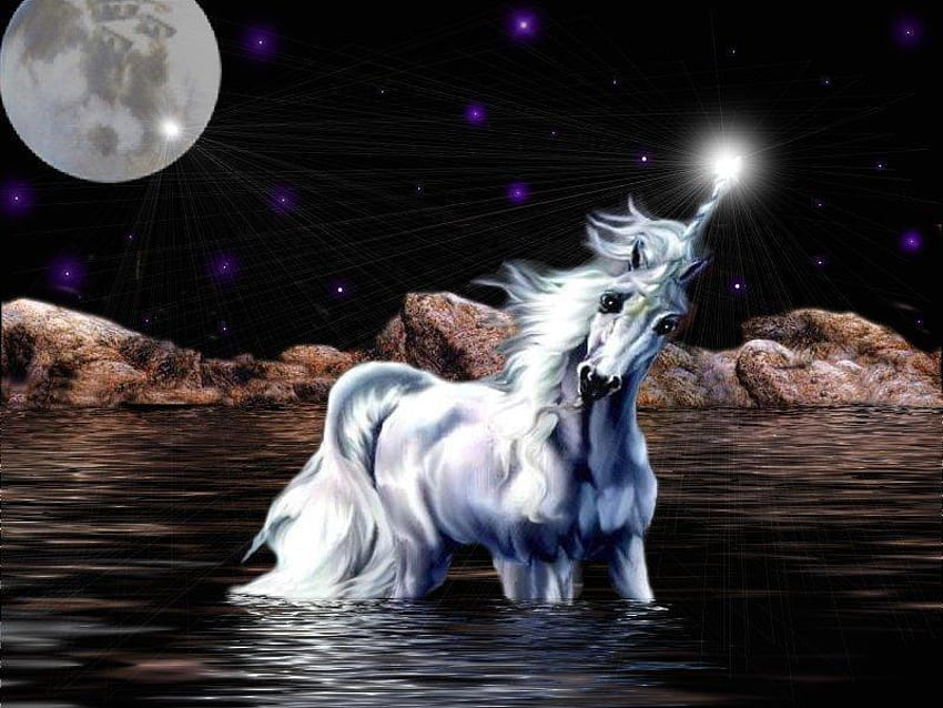 Unicorn, horses, moon, animals HD wallpaper