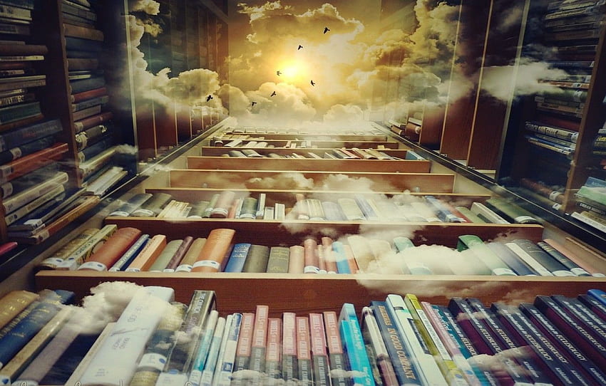clouds, birds, sun, story, dreams, reading, books, Library Books HD wallpaper