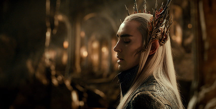 The Hobbit: The Desolation of Smaug (2013), actor, poster, thranduil, elf,  man, lee pace, the hobbit, the desolation of smaug, king, fantasy, movie HD  wallpaper | Pxfuel