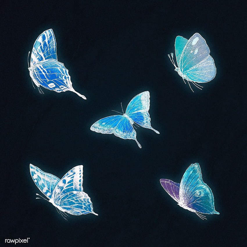 Premium-Illustration von neonblauen Schmetterlingsillustrationen. Blaue ästhetische Dunkelheit, blauer Schmetterling, Schmetterlingsillustration HD-Handy-Hintergrundbild