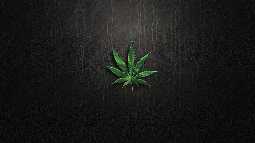 Marijuana plants blunt, Weed Blunt HD wallpaper