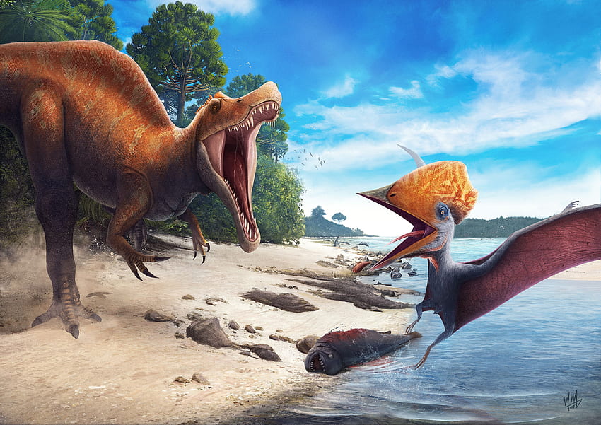 Competition, Tupuxuara, Angaturama, Northeast, Dinosaurs HD wallpaper ...