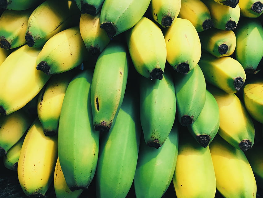Плодове, храна, банани, плодове HD тапет