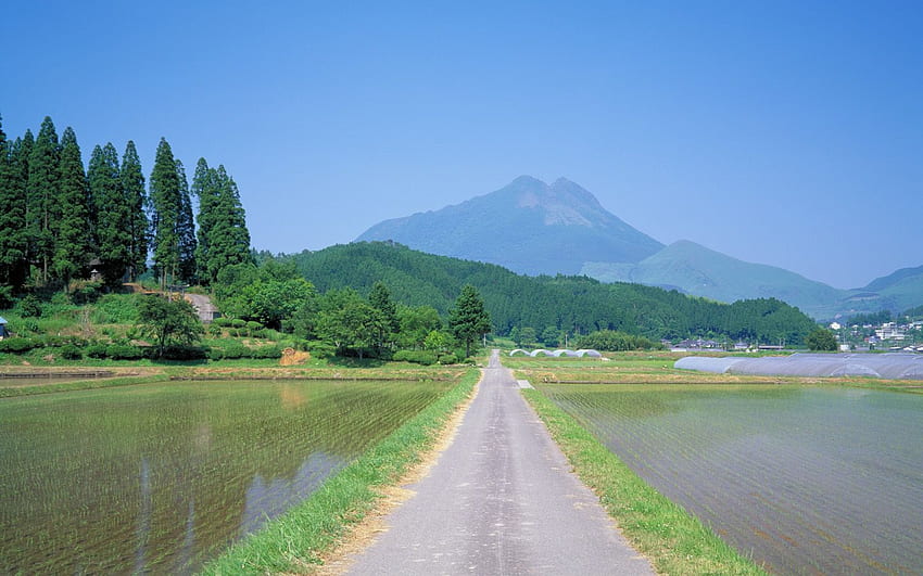 Viaggio in Giappone: Incredibile paesaggio giapponese NO.18, campagna giapponese Sfondo HD