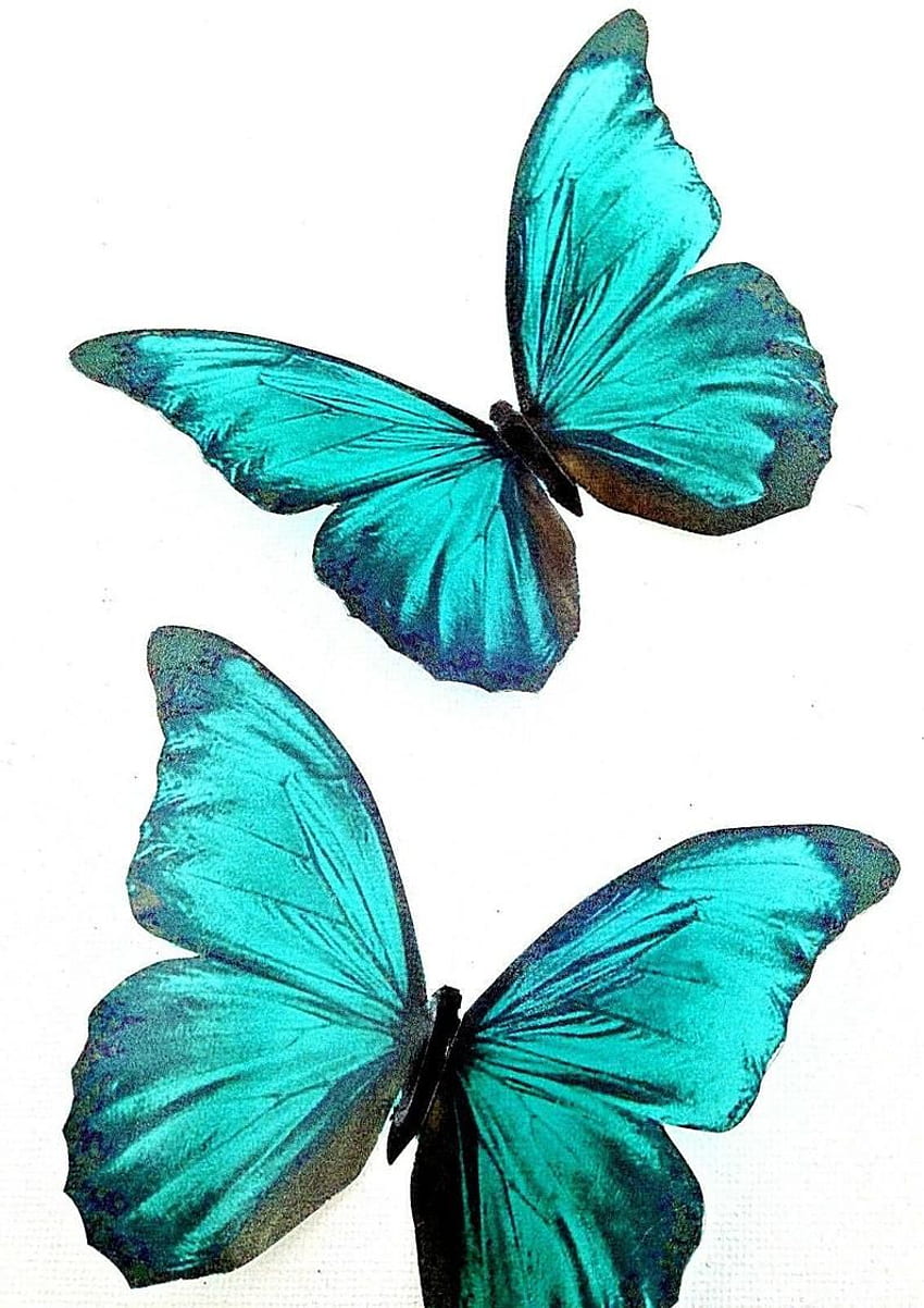 Menakjubkan di Teal Blue Butterfly 3D Butterfly Wall. Etsy. IPhone Teal, Teal, seni dinding kupu-kupu 3D, Kupu-kupu Kuning dan Biru wallpaper ponsel HD