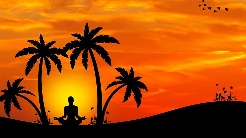 Yoga, Palm Trees, Back View, Meditation, Sunset, Minimal Design for Laptop, Notebook, Meditation Laptop HD wallpaper