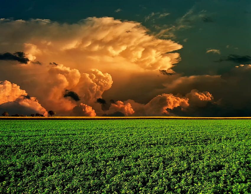Orange storm, Field, Grass, Sky, Clouds HD wallpaper