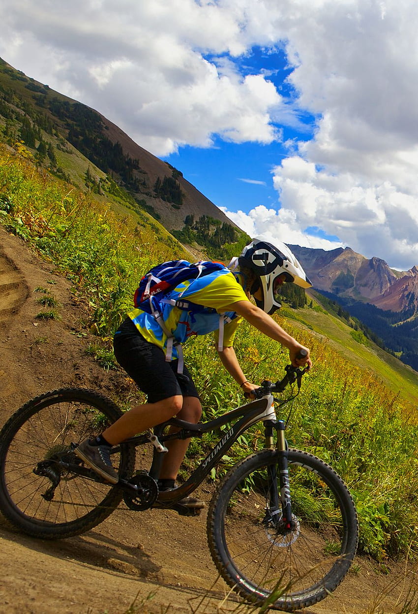 20 Mountain Bike Pictures  Download Free Images on Unsplash