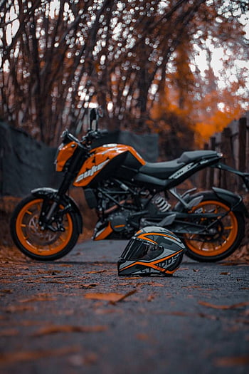 KTM 390 Duke & Kawasaki Z250 Wallpaper