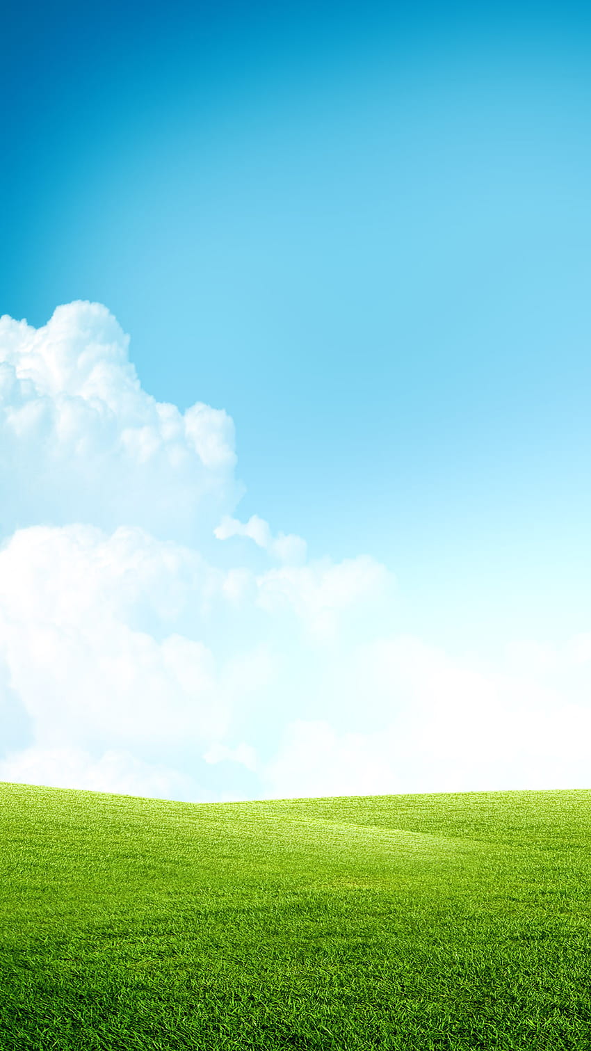 Тревно поле Синьо небе Облаци Android, Зелена трева и Синьо небе HD тапет за телефон