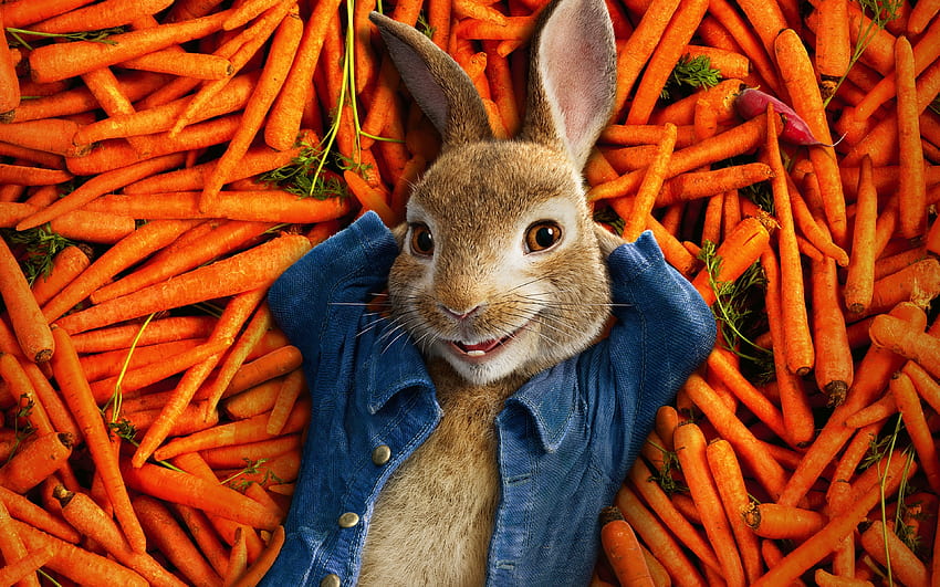 Peter Rabbit, 2018, película de animación. fondo de pantalla