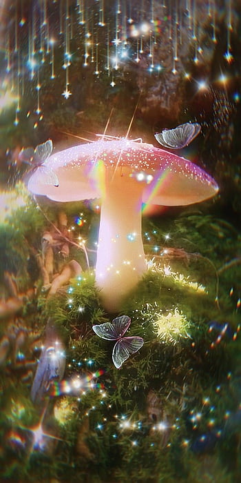 ܨ custom SP. Mushroom , Fairy , Aesthetic iphone, Ethereal ...