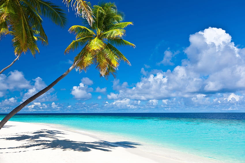 Spiagge caraibiche. Spiaggia caraibica, computer caraibico Sfondo HD
