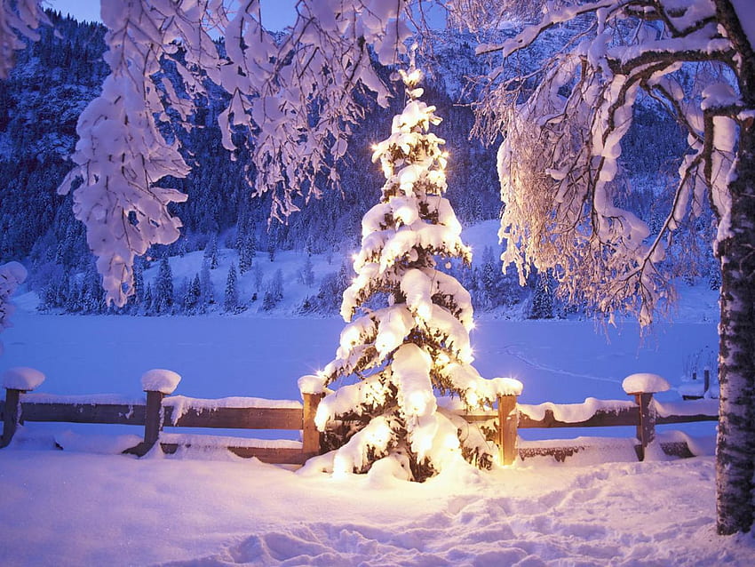 冬の雪景色、クリスマスの冬景色 高画質の壁紙