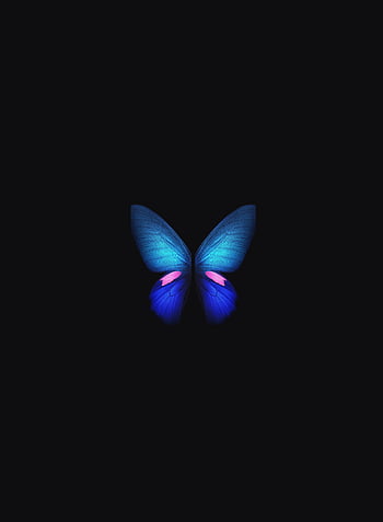Aesthetic . Blue iphone, Butterfly iphone, Blue butterfly, Soft Blue ...