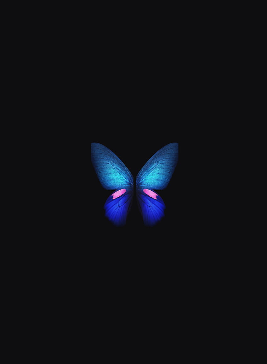 Samsung Galaxy Fold, Blue butterfly, minimal, art HD phone wallpaper