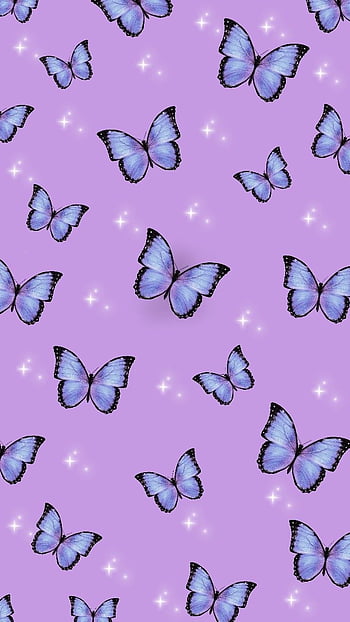Neon Butterflies bubbles butterfly purple sparkle HD wallpaper  Peakpx