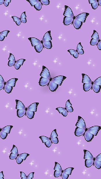 Purple butterfly wallpaper for iphone  instagram  Purple butterfly  wallpaper Butterfly wallpaper Purple wallpaper