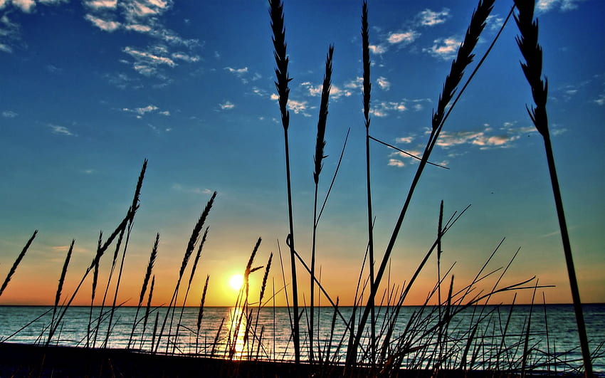 A New Day, sea, sea view, grass, sunrise, clouds, view, nature, sky, splendor, sun HD wallpaper