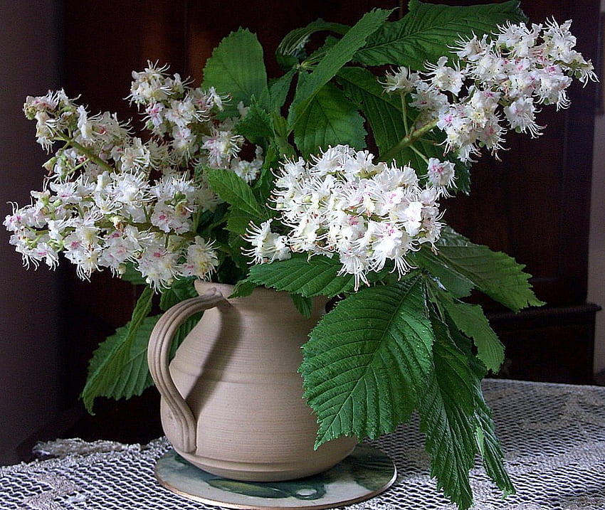 Blossom for Sharon, white, popular, vase, colors, still life, flowerpot, leaves, green, texture, flowers, blossom HD wallpaper