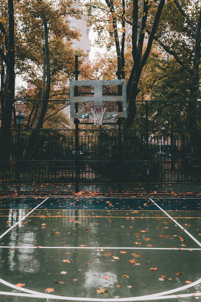 Deportes, otoño, baloncesto, patio de juegos, plataforma, cesta, cancha de baloncesto, patio de juegos de baloncesto fondo de pantalla del teléfono