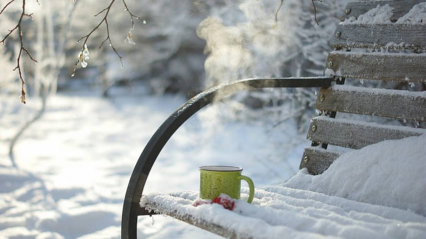 warm drink, winter, nature, tea, snow HD wallpaper
