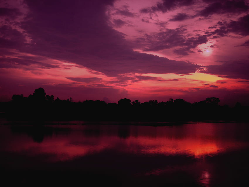 Nature, Trees, Sunset, Sky, Twilight, Lake, Dark, Dusk, Purple HD wallpaper