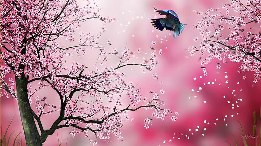 cherry blossoms, pink, art, cherry, blossoms, cool, nature, paintings, illustrations HD wallpaper