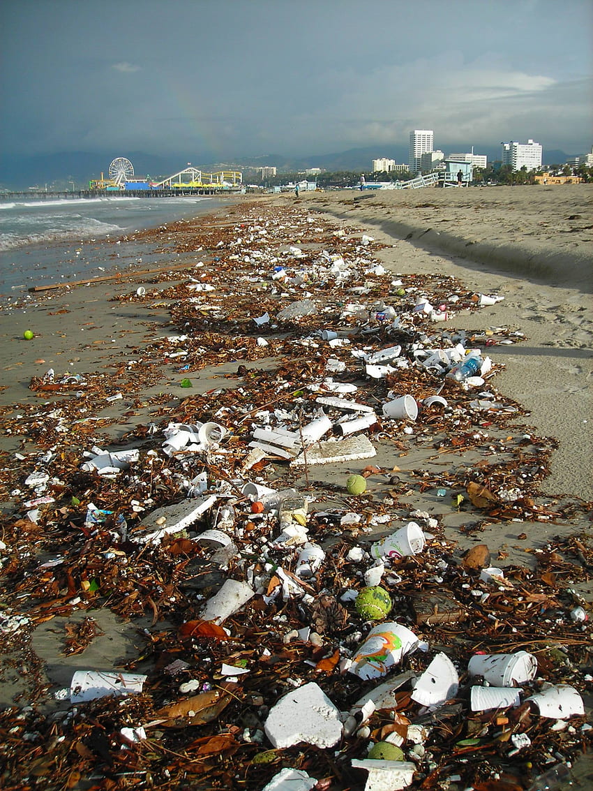2021年のプラスチック汚染のアイデア. プラスチック汚染, 汚染, プラスチック HD電話の壁紙