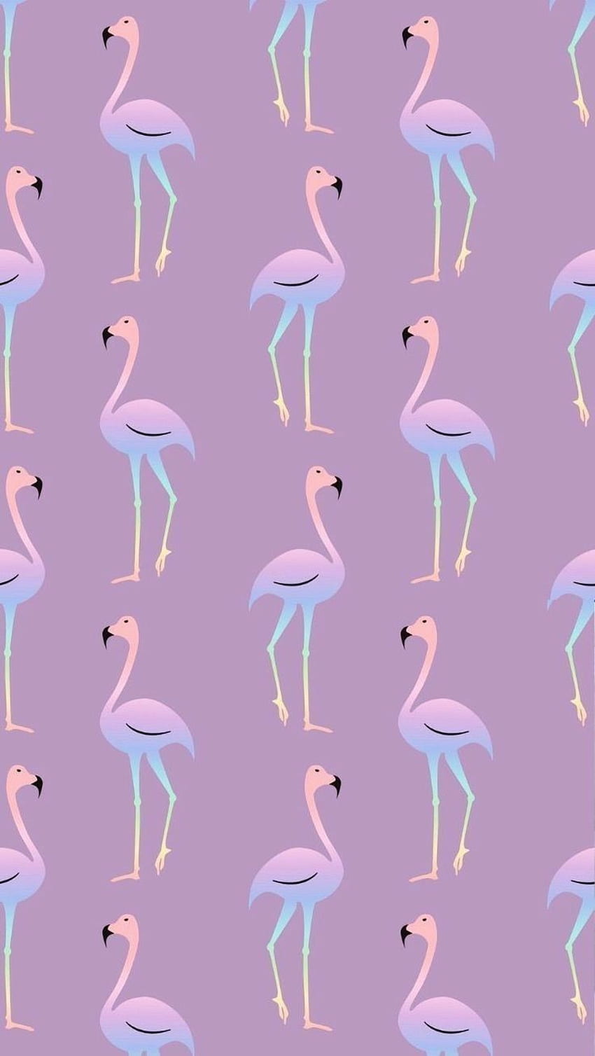 Silvia Rodrigues on Flamingo *・゜ﾟ・*\(^O^)/*・゜ﾟ・*. Flamingo , Pretty iphone, Cute, Pastel Flamingo HD phone wallpaper