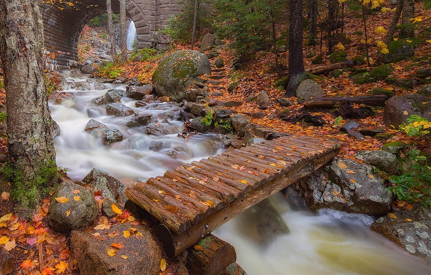 musim gugur, daun, pohon, jembatan, sungai, lengkungan, Maine, Manusia, Taman Nasional Acadia, Taman Nasional Acadia untuk , bagian пейзажи - Wallpaper HD