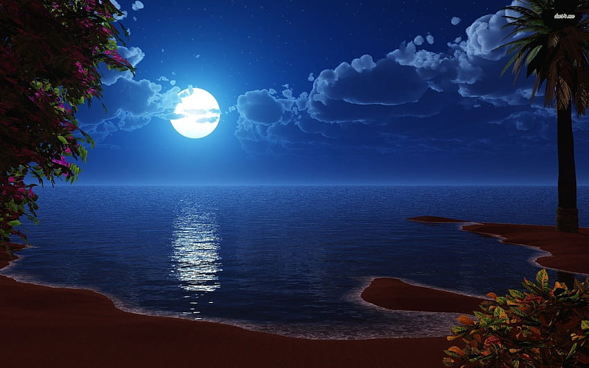 満月。 Full moon at the beach - Digital Art - Ocean at night, Landscape , Beautiful moon, Beach Moon 高画質の壁紙