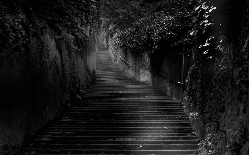 dark path, steps, gothic, plant, wall HD wallpaper