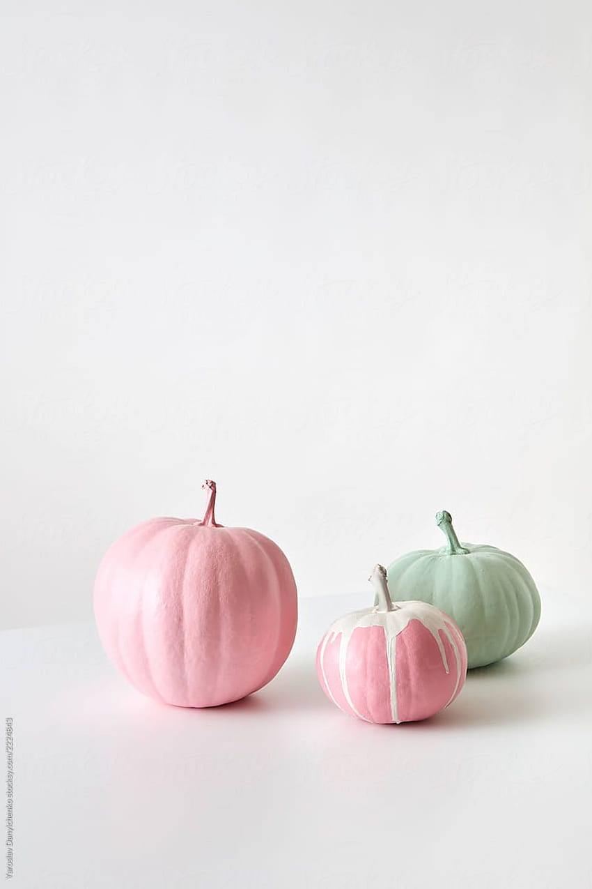 Stella Kocharyan Realtor  Did you know The Pink Pumpkin Patch Foundation  is a nonprofit organization that is behind the Porcelain Doll Pink Pumpkin  The Porcelain Doll F1 pink pumpkins are a