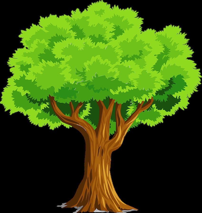 - Nature Plant Tree. Tree clipart, Cartoon Tree HD phone wallpaper