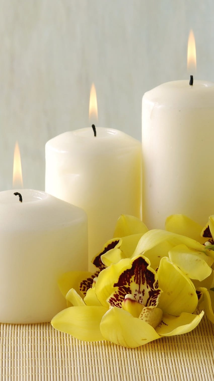 Page 6 | candle flower HD wallpapers | Pxfuel
