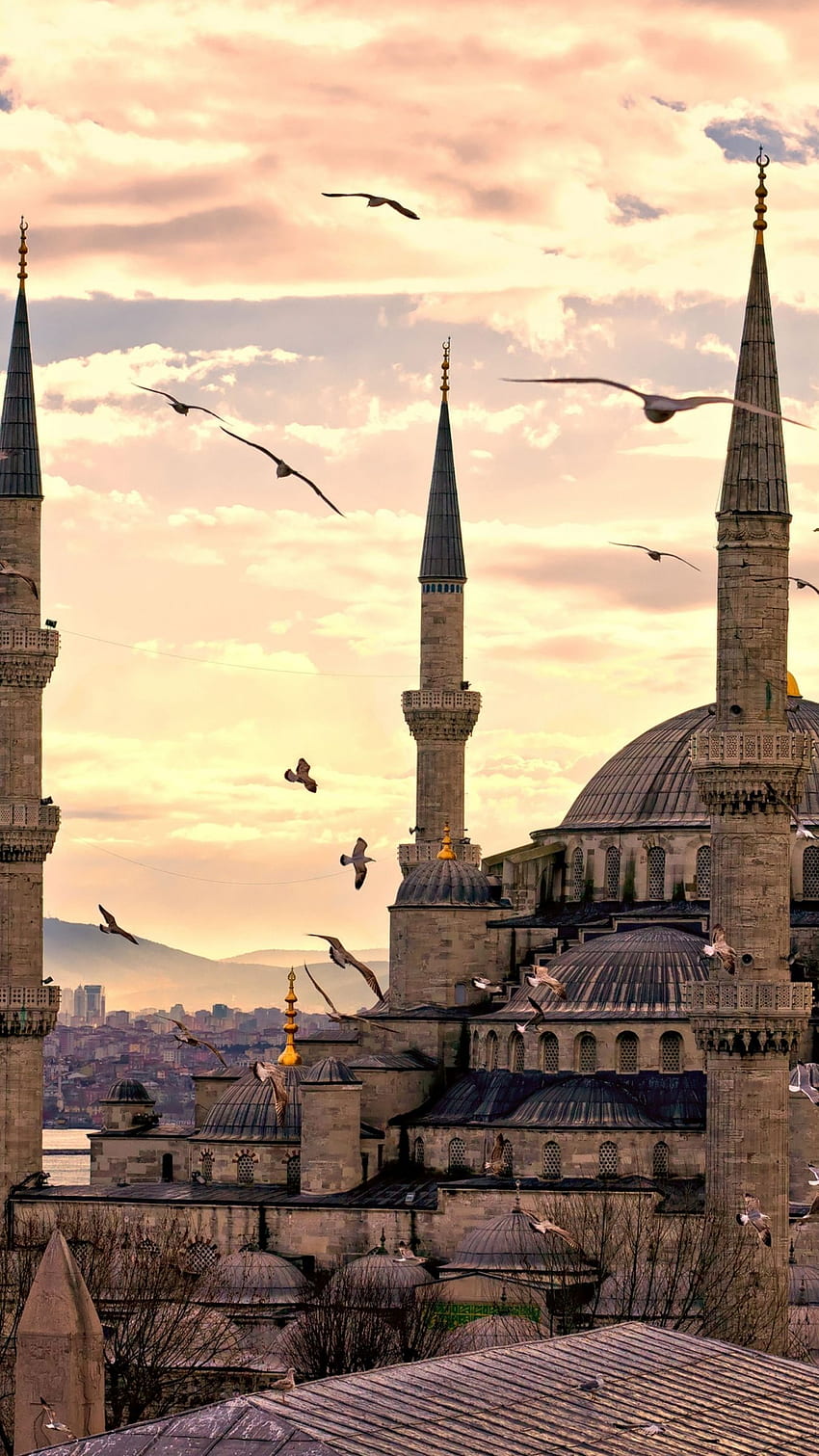 Sultan Ahmed Mosque, Istanbul, Turkey, Travel, Tourism HD phone wallpaper