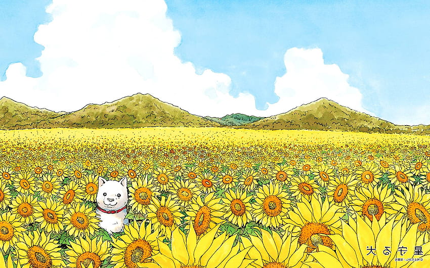 A dog in a field of flowers. One of the less abstract but still vibrant works of Takashi Murakami HD wallpaper