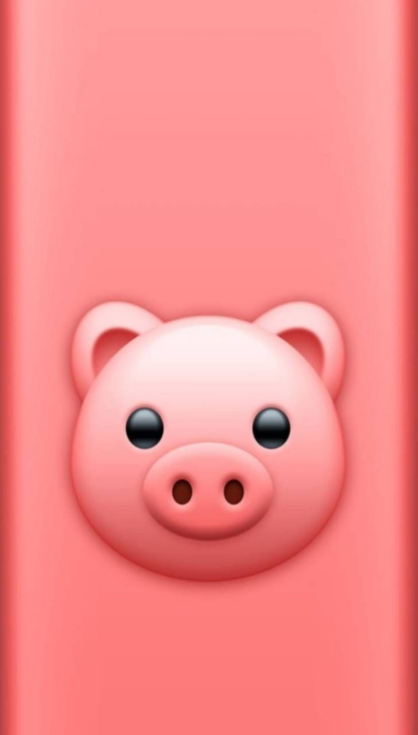 Piggy, Pig Face HD phone wallpaper