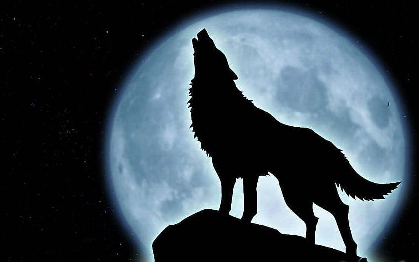 Lobo e Lua, Raposa e Lobo papel de parede HD